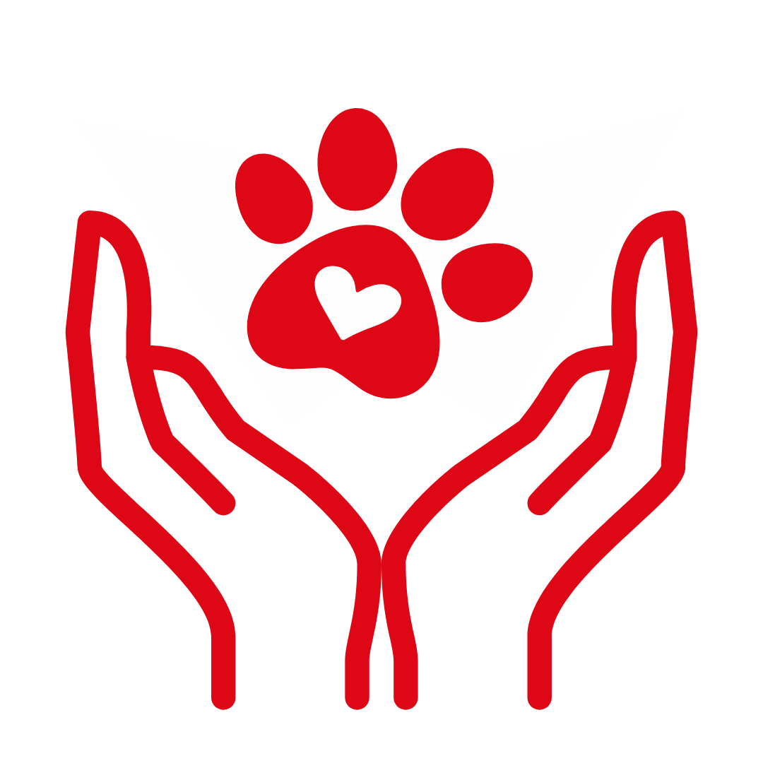 Alt Image